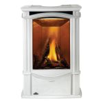 Napoleon GDS26 Castlemore Winter Frost Cast Iron Gas Stove - GDS26NW