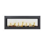 Napoleon LV50N2-1 Vector Direct Vent Gas Fireplace See Through