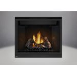Napoleon HD40 Direct Vent Clean Face High Definition Gas Fireplace - HD40