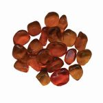 Amantii / Sierra Flame Decorative Fire Glass - Orange Color - AMSF-GLASS-10