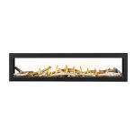 Napoleon Vector 74 See Thru Direct Vent Gas Fireplace - LV74N2