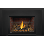Napoleon Oakville™ 3 Gas Fireplace Insert - GDI3N