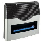 Martin Natural Gas Direct Vent Thermostatic Heater - 20000 BTU with Window - MDV20VN