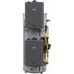 Rinnai Vertical Demand Duo 398k BTU 100G - CHS398100HCXViN