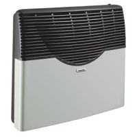 Martin Natural Gas Direct Vent Thermostatic Heater - 20000 BTU - MDV20N