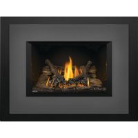Napoleon Oakville Gas Insert w/Logs flames