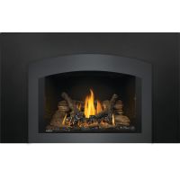 Napoleon Oakville Gas Insert w/Logs Flames with arched faceplate