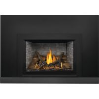 Napoleon Oakville Gas Insert w/Logs flames