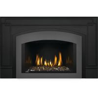 Napoleon Oakville G3 Gas Fireplace  Insert Arched faceplate