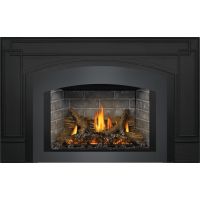 Napoleon Oakville X3 Gas Fireplace Insert Arched faceplate