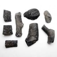 Amantii Logs - Large Log Chips | LOGCHIPS-LG