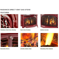 Vermont Castings Radiance Direct Vent Gas Stove Features