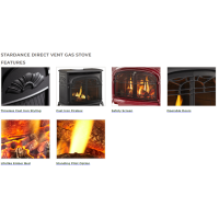 Vermont Castings Stardance Direct Vent Gas Stove Features