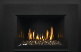 Napoleon Oakville™ G3 Gas Fireplace Insert - GDIG3N