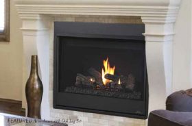 Astria Aries 40 Direct-Vent Gas Fireplaces - ARIES40