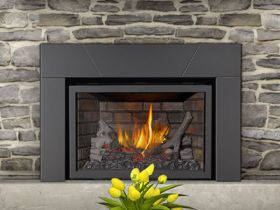 Napoleon Infrared X3 Gas Fireplace Inserts - XIR3NSB