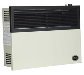 Ashley Direct Vent 17000 BTU Natural Gas Wall Heater - DVAG17N