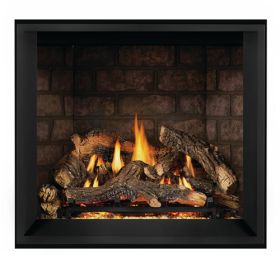 Napoleon Elevation X 36 Direct Vent Gas Fireplace - EX36NTEL