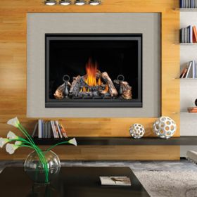 Napoleon HD46 Direct Vent Clean Face High Definition Gas Fireplace - HD46