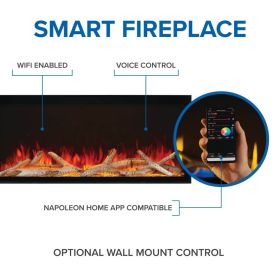Astound FlexMount Electric Fireplace Smart options
