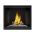 Napoleon HDX40 Direct Vent Clean Face Deluxe High Definition Gas Fireplace - HDX40