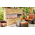 Superior 36" Outdoor Vent-Free Fireboxes, Linear - VRE4636