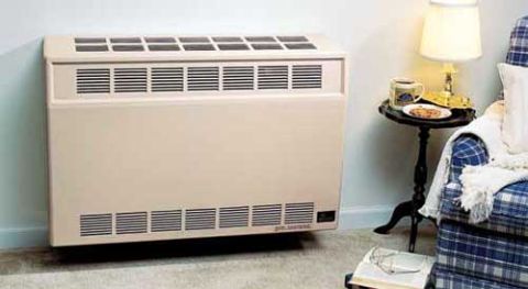 Empire Direct Vent Wall Furnace - 25,000 BTU - DV-25-SG
