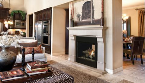 Astria Eros 35 Direct-Vent Fireplace - Top/Rear Combo - See-Through - Louvered - EROS35ST