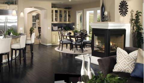 Astria Libra 40 Direct Vent Gas Fireplace - Top/Rear Combo - Peninsula - Louverless - LIBRA40PF