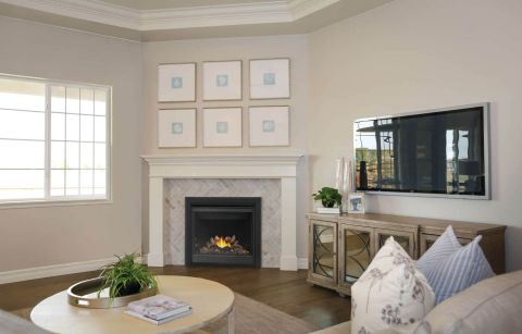 Living room with fireplace
