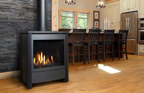 Free Standing Direct Vent Gas Stoves - FDV451