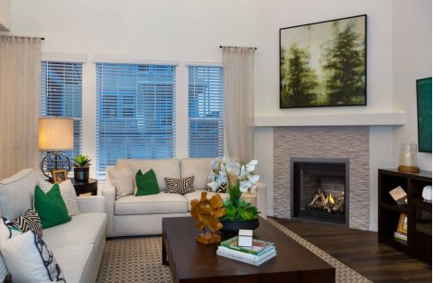 Living room with fireplace