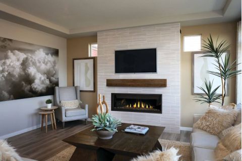 Living Room fireplace
