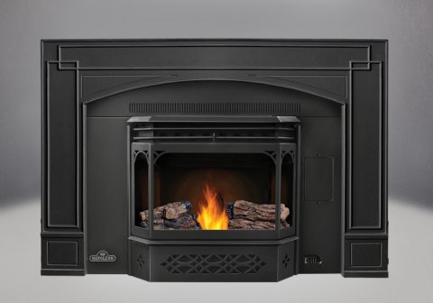 Napoleon-npi45-phazer-logs-black-door-trivet-flashing-prrp-arched-surround-pellet-insert.