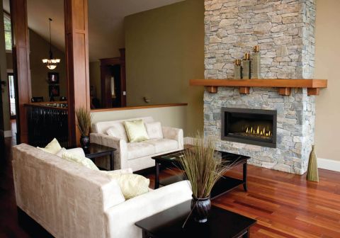 Den with wall fireplace