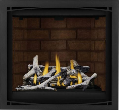Napoleon Altitude X 36 Direct Vent Gas Fireplace - AX36NTE