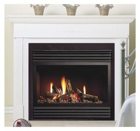 Kingsman Direct Vent Gas Fireplace Heater - Millivolt - ZDV3622N