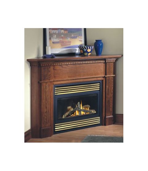 Napoleon BGD33NR Direct Vent Gas Fireplace - BGD33NR