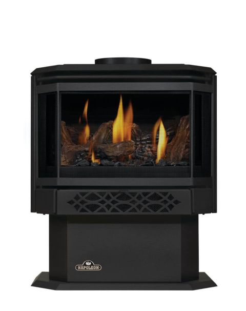 Napoleon Halliburton Direct Vent Gas Stove