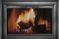 Thermo-Rite Celebrity Series Fireplace Door
