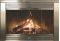 Thermo-Rite Regal Series Fireplace Door