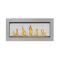 Napoleon LV38 Vector See Through Direct Vent Gas Fireplace