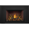Napoleon Oakville™ X3 Gas Fireplace Insert - GDIX3N