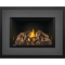 Napoleon Oakville™ X4 Gas Fireplace Insert - GDIX4N