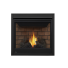 Napoleon B35NT Ascent Direct Vent Clean Face Builder Gas Fireplace