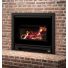 Osburn Inspire 2000 Wood Insert - Narrow U-Shaped Faceplate - OB02045