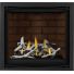 Napoleon Altitude X 36 Direct Vent Gas Fireplace - AX36NTE