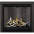 Napoleon Altitude X Direct Vent Gas Fireplace - AX36NTE