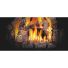 Napoleon Fiberglow 30 Gas Log Set flame